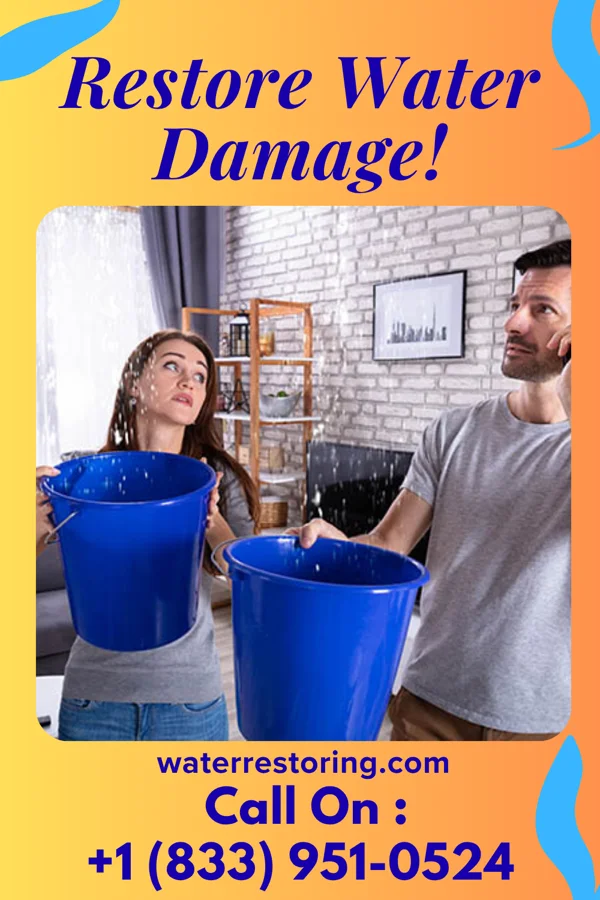 water restoration Eco Damage Recovery Company Hillsdale