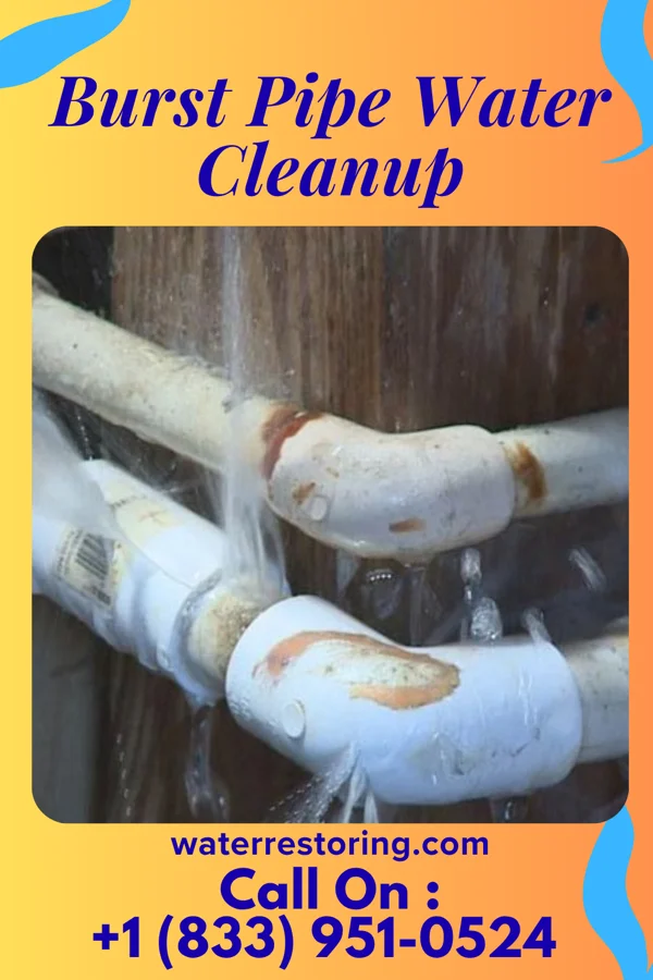 Burst Pipe Water Cleanup in Hillsdale, MO