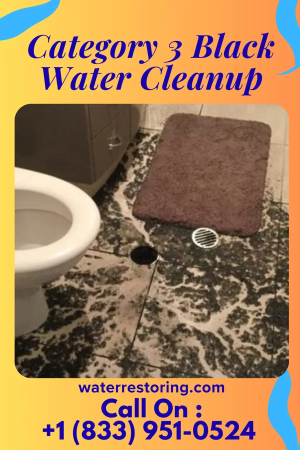 Category 3 Black Water Cleanup in Hillsdale, MO