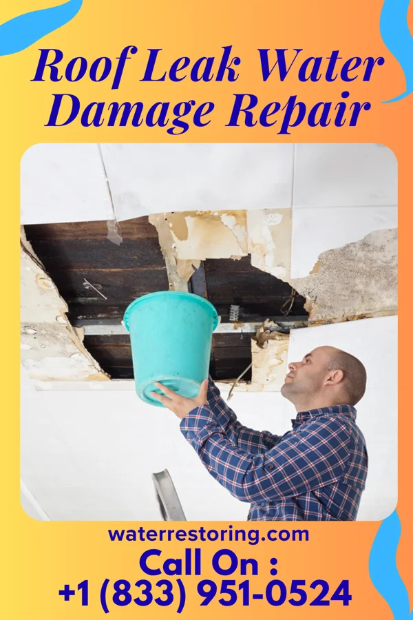 Roof Leak Water Damage Repair in Hillsdale, MO